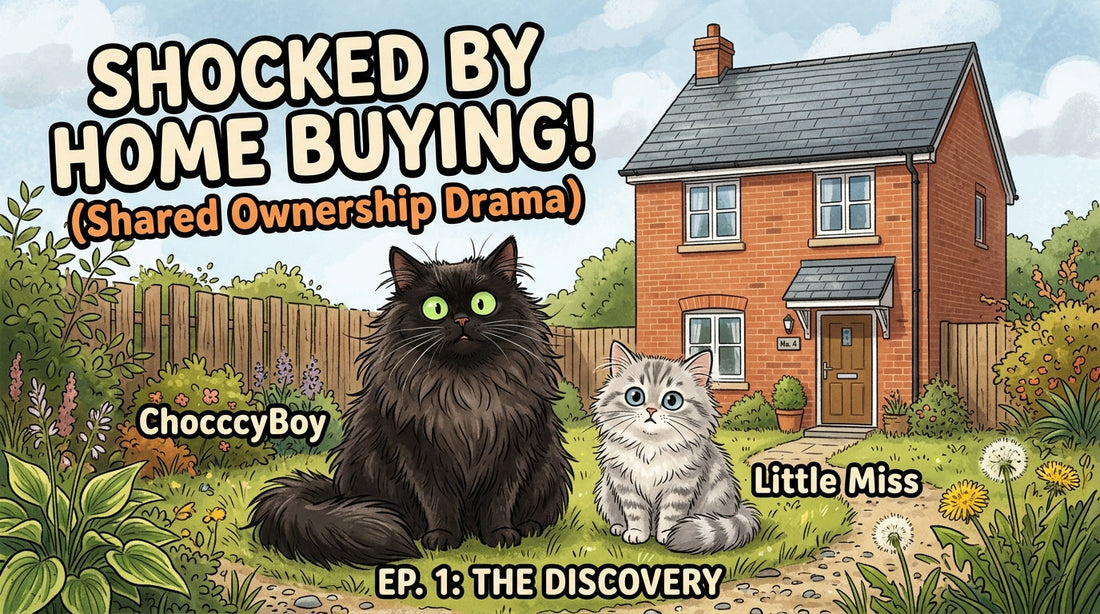 Shared ownership buying