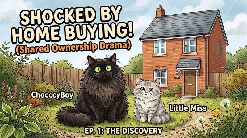 Shared ownership buying