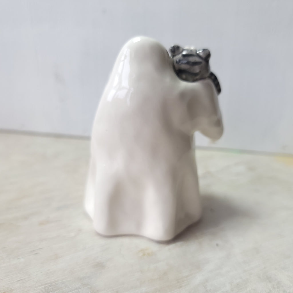 Ghost and tabby cat