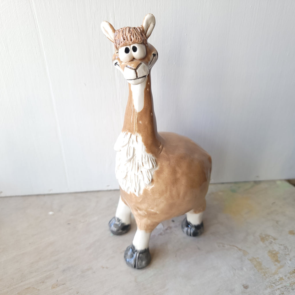 Llama