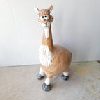 Llama