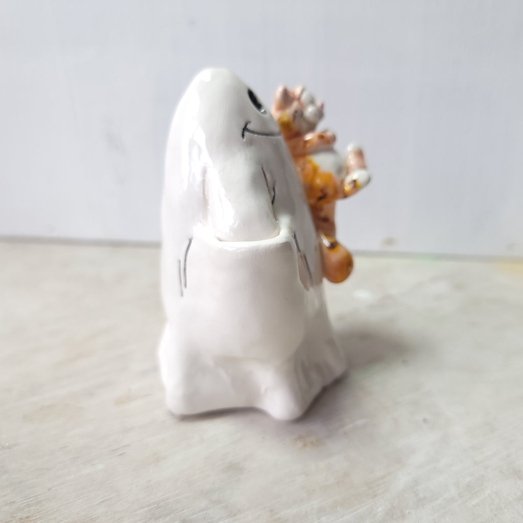 Ghost and ginger cat