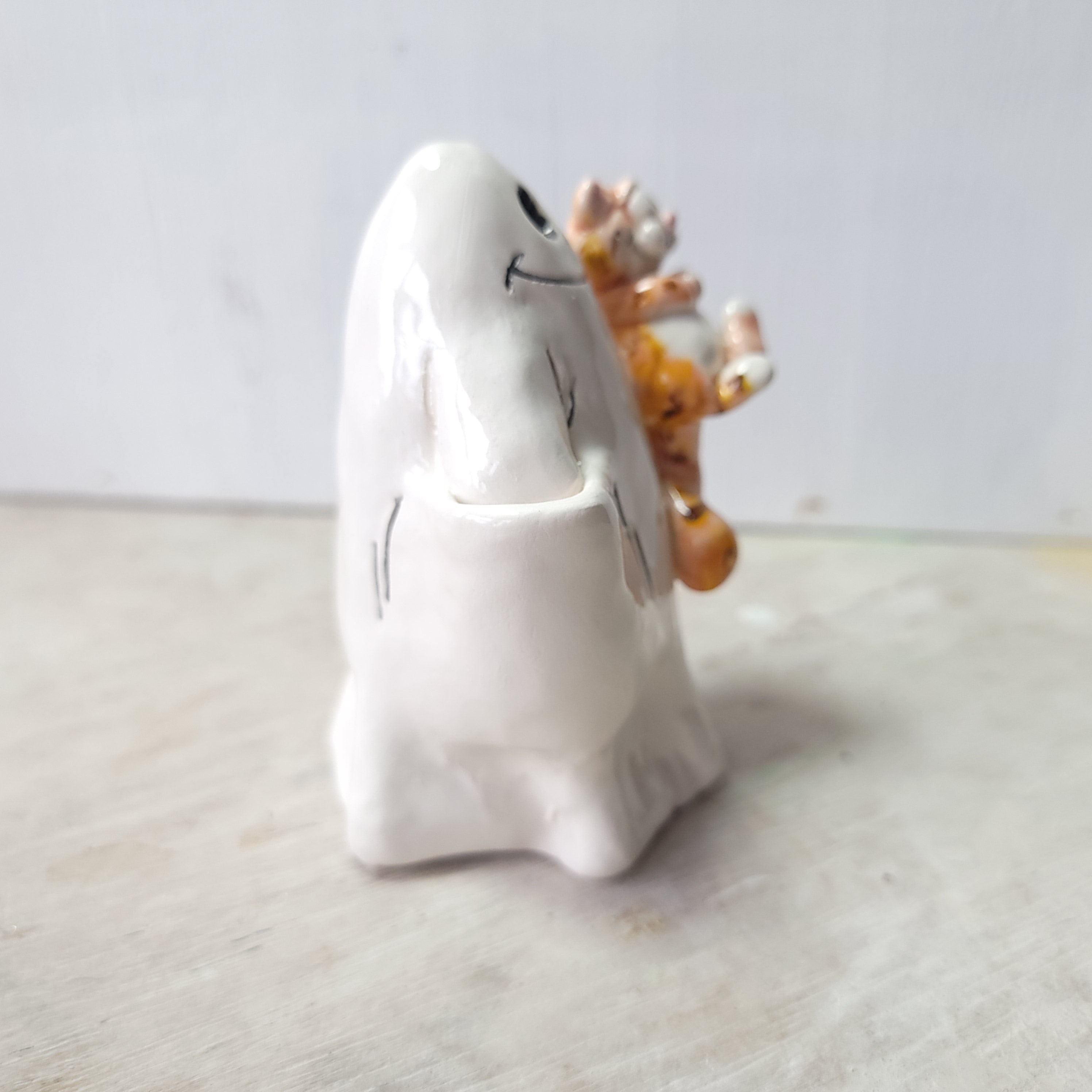 Ghost and ginger cat