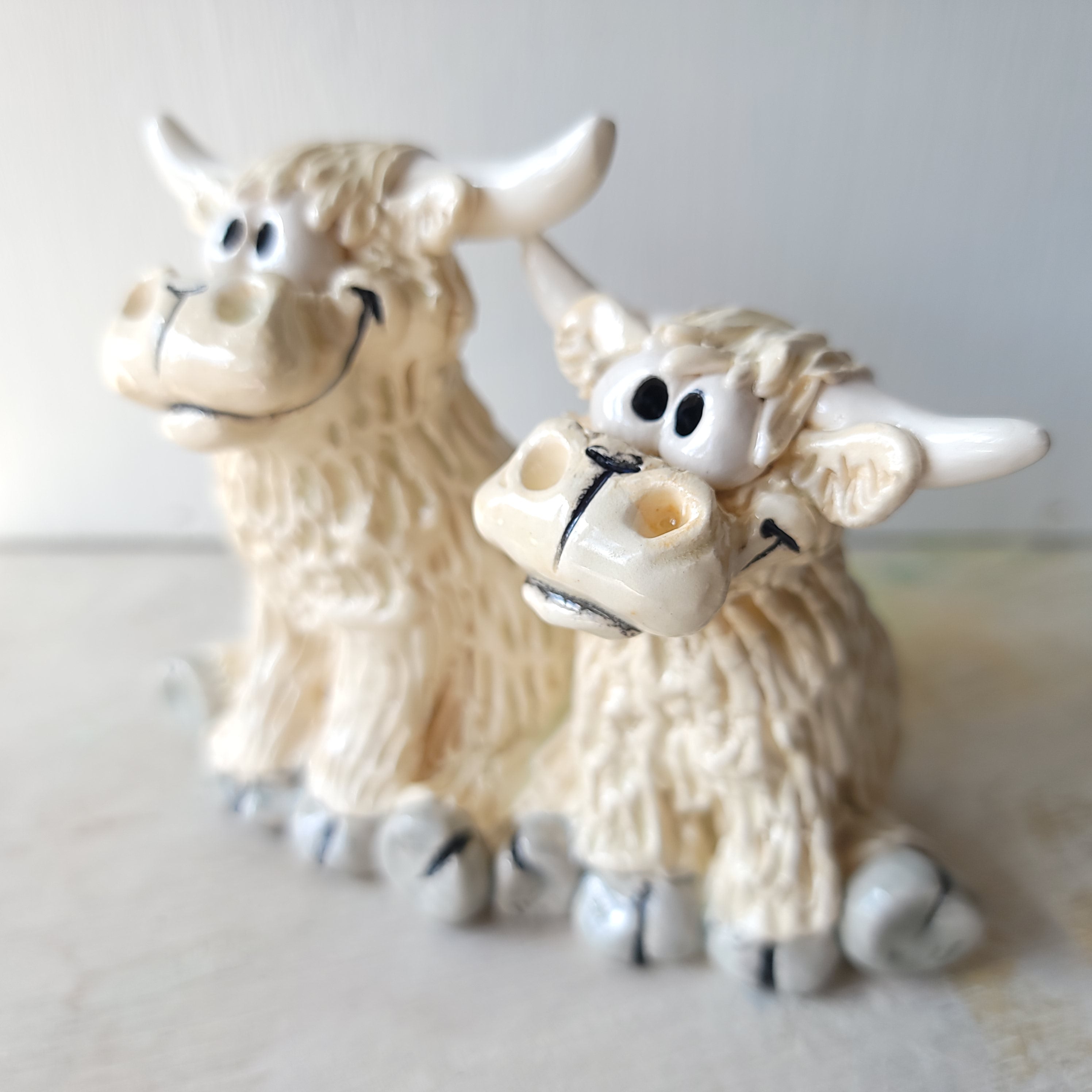 Funny pair of cows