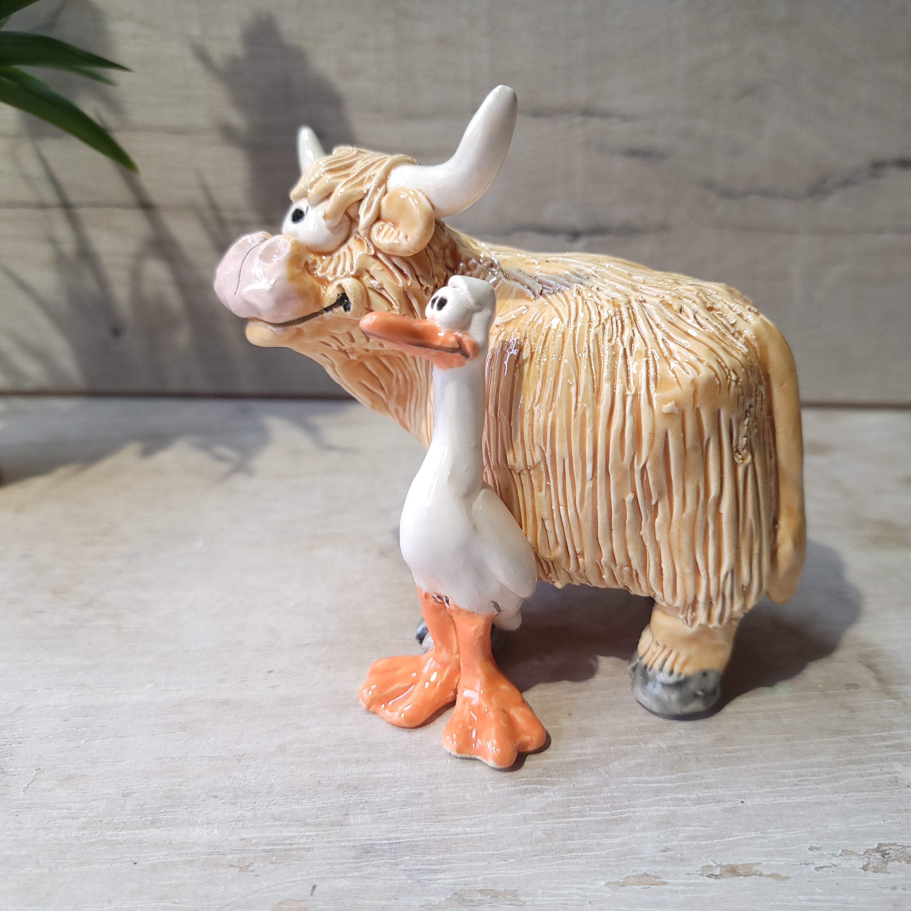 Highland cow and runner duck