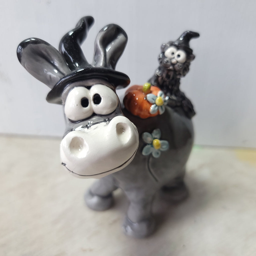 Donkey, cat and pumpkin