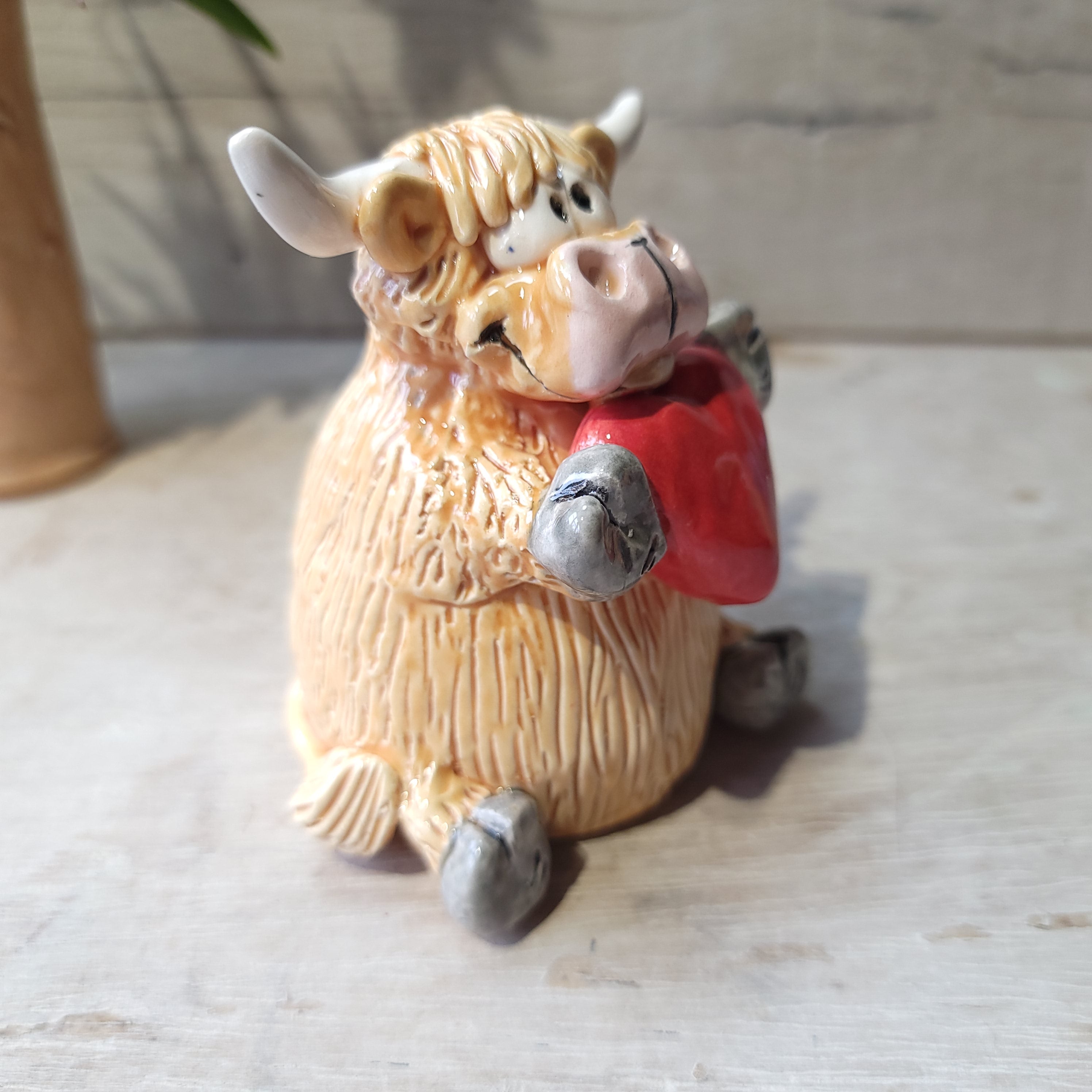 Highland cow with heart ❤️