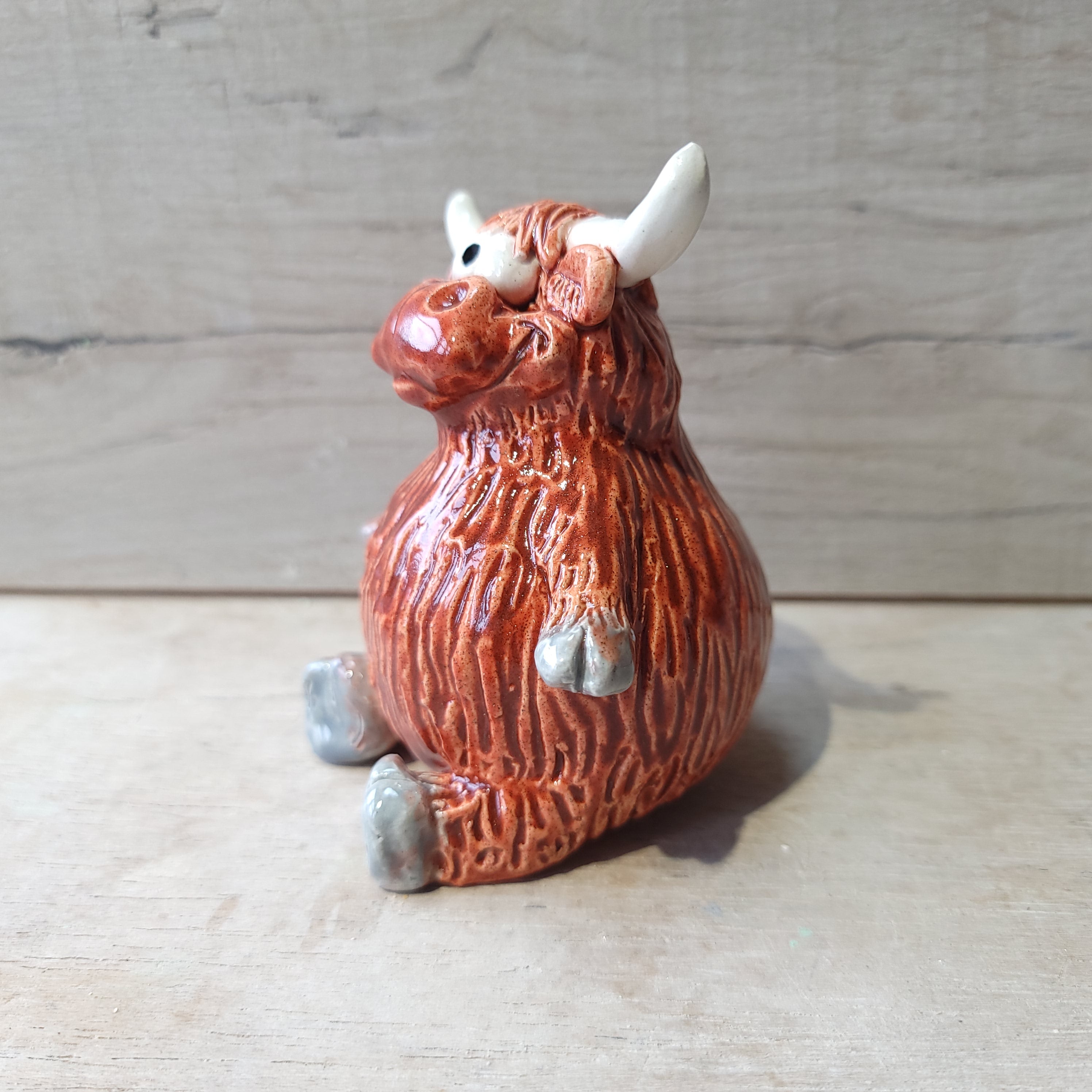 Highland cow Little Bruce