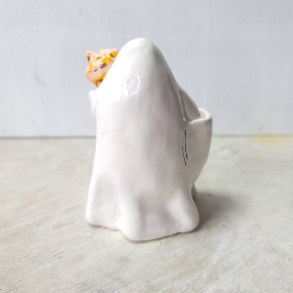 Ghost and ginger cat