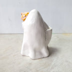 Ghost and ginger cat
