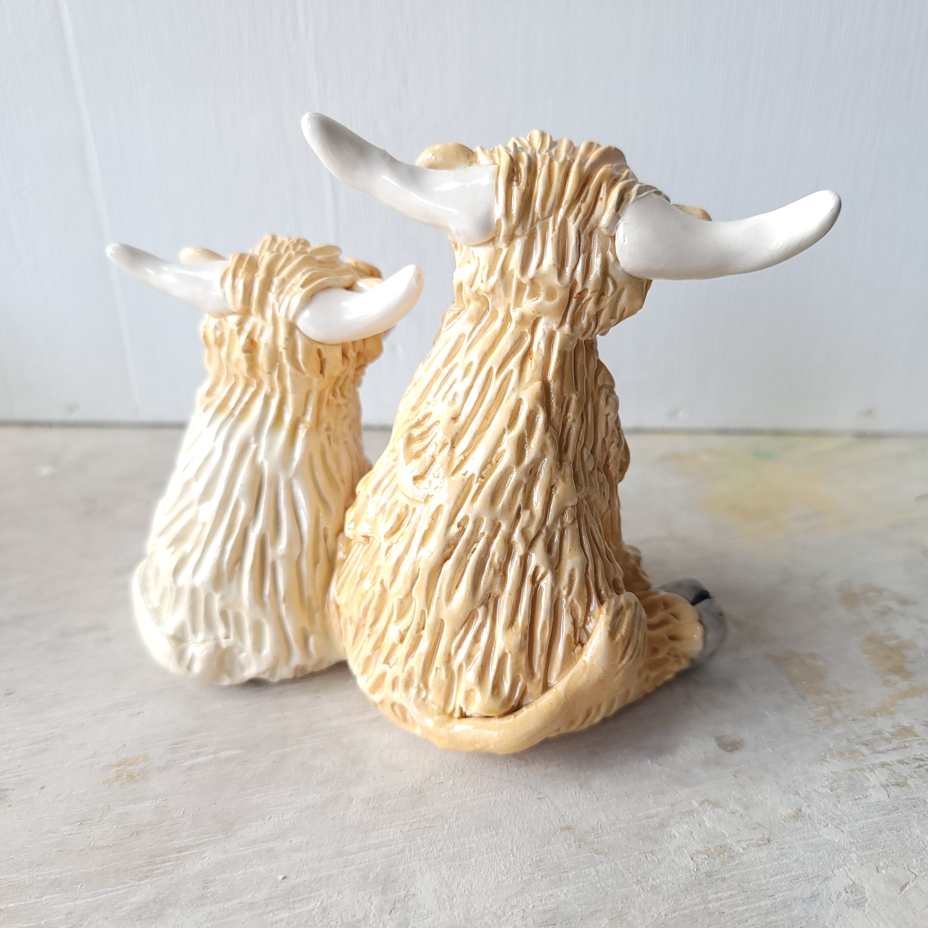 Funny cow pair