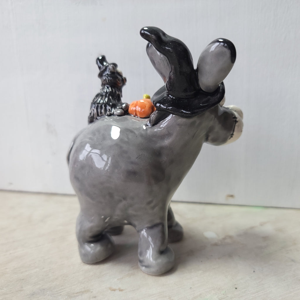 Donkey, cat and pumpkin