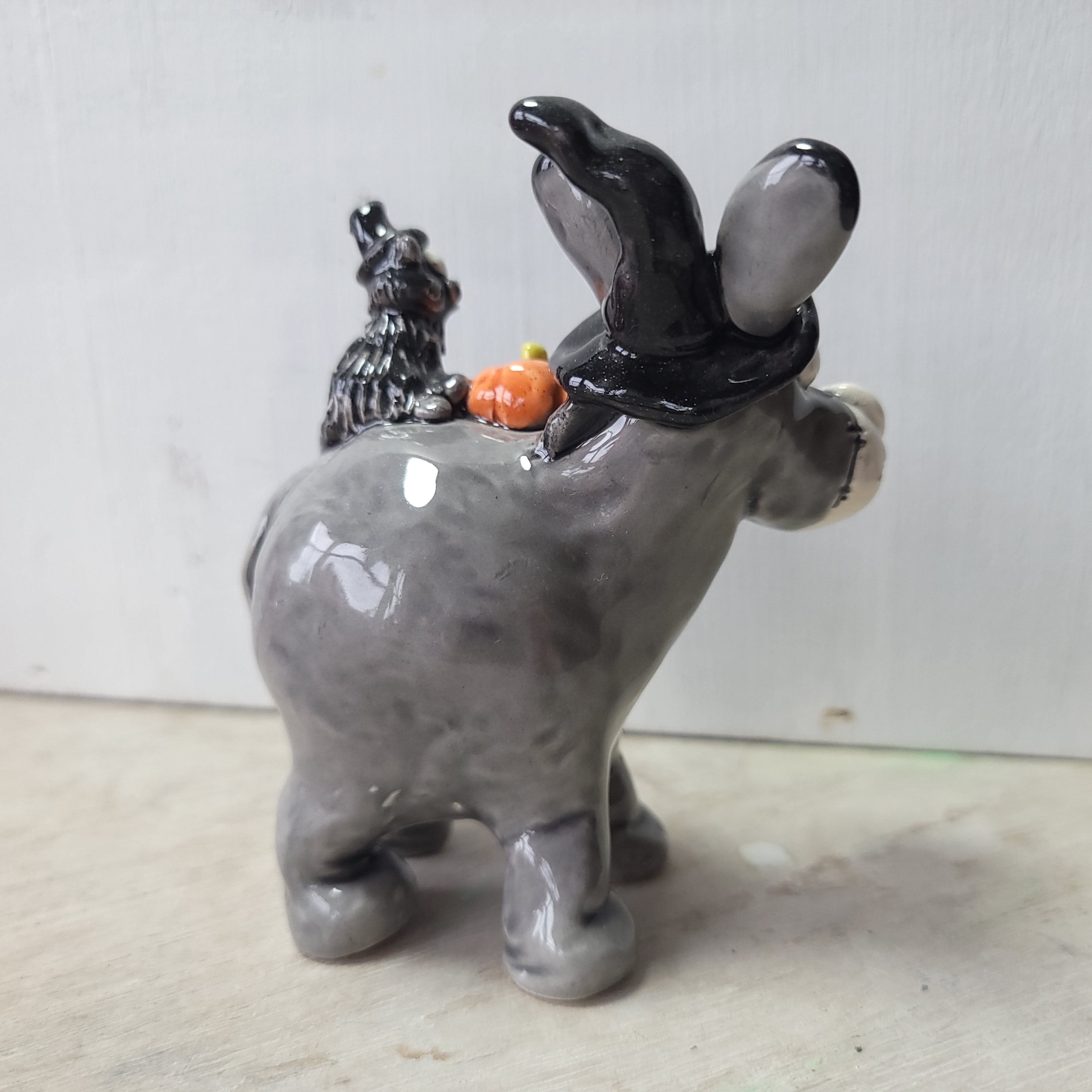 Donkey, cat and pumpkin