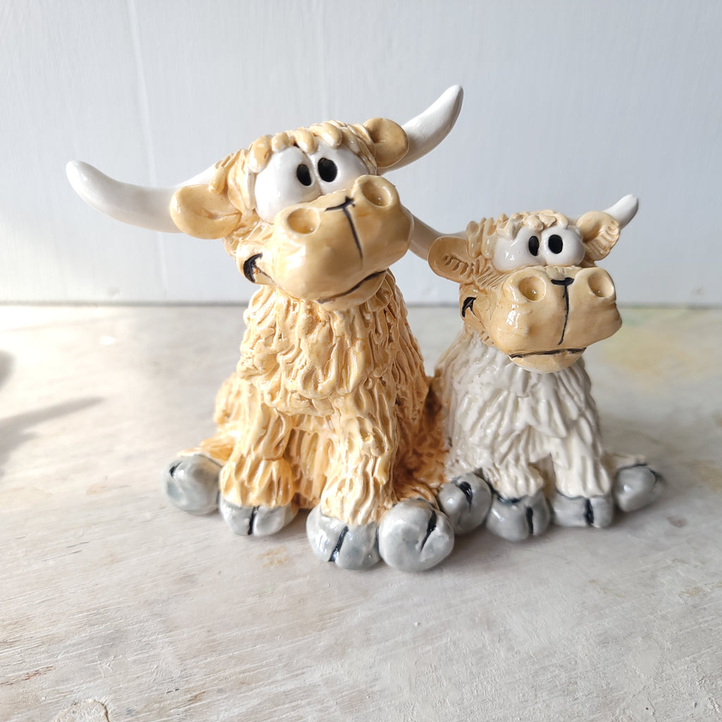 Funny cow pair