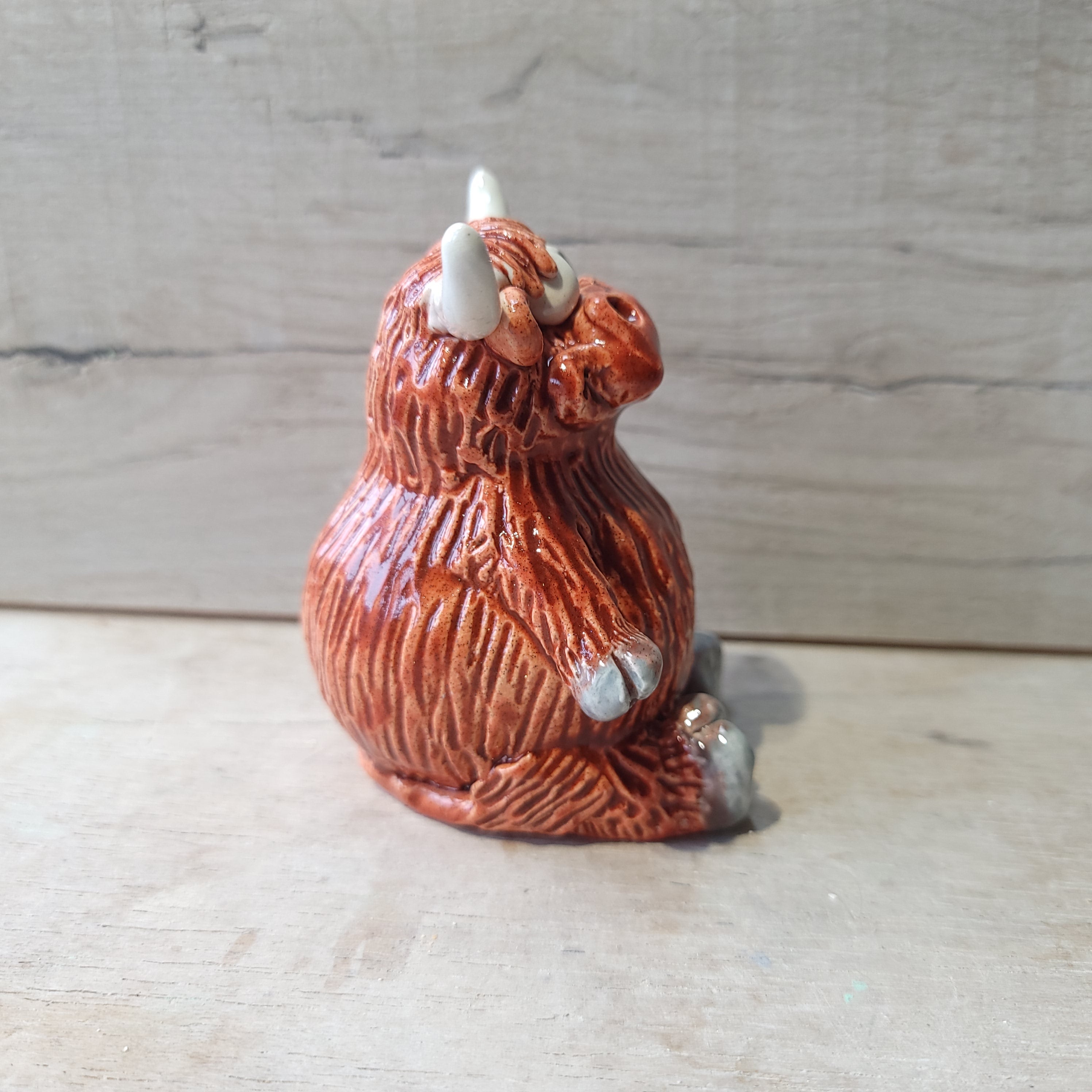 Highland cow Little Bruce