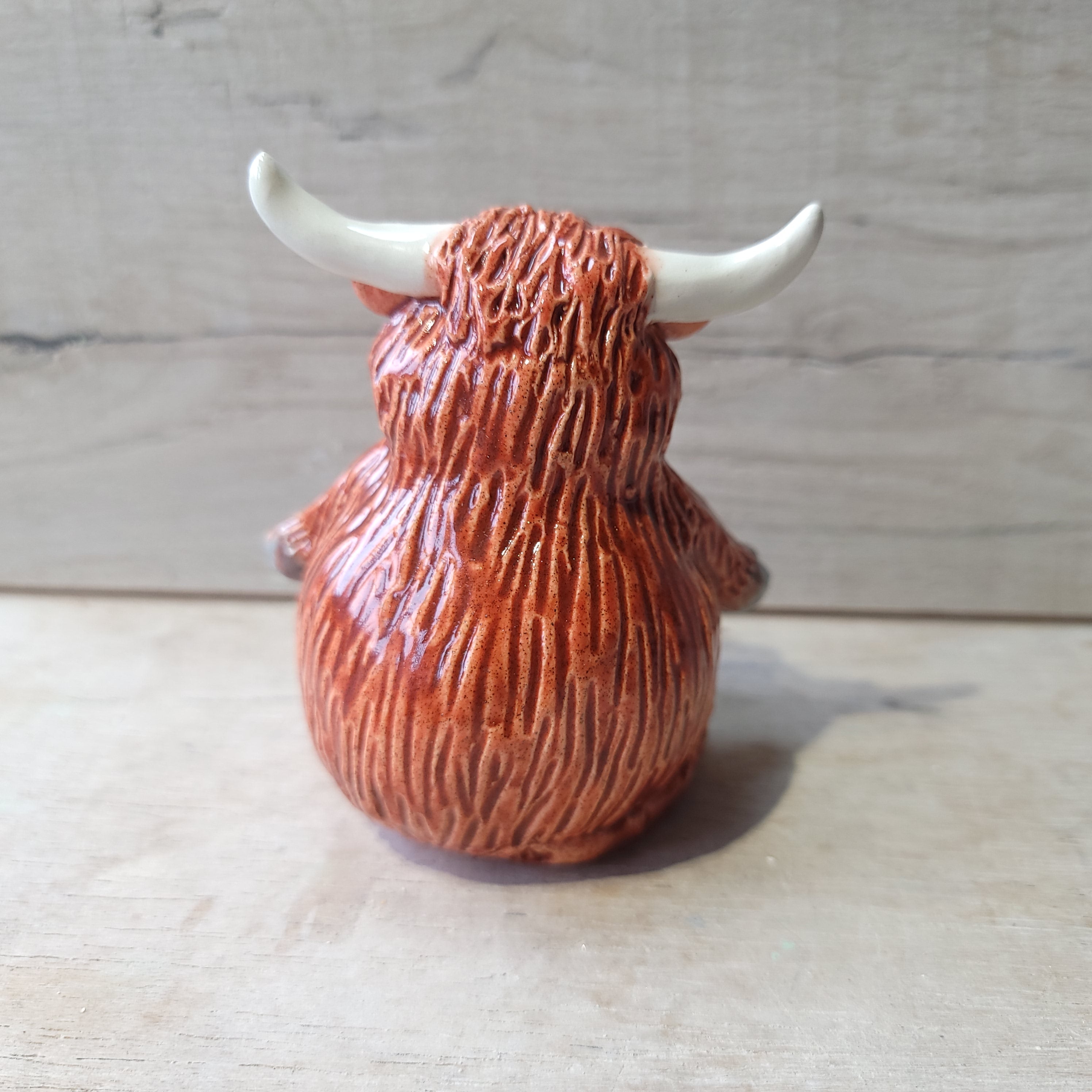 Highland cow Little Bruce