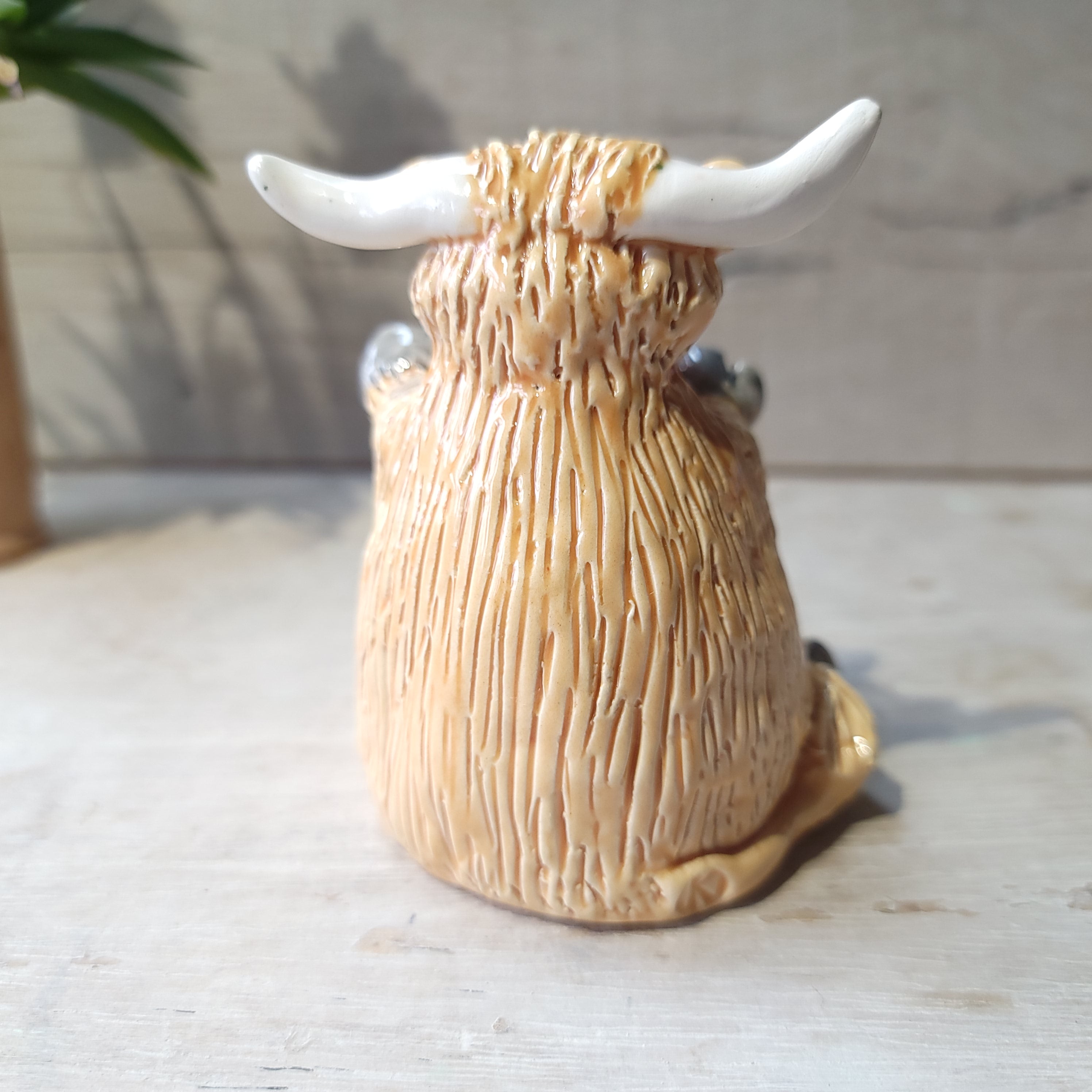 Highland cow with heart ❤️