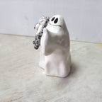 Ghost and tabby cat