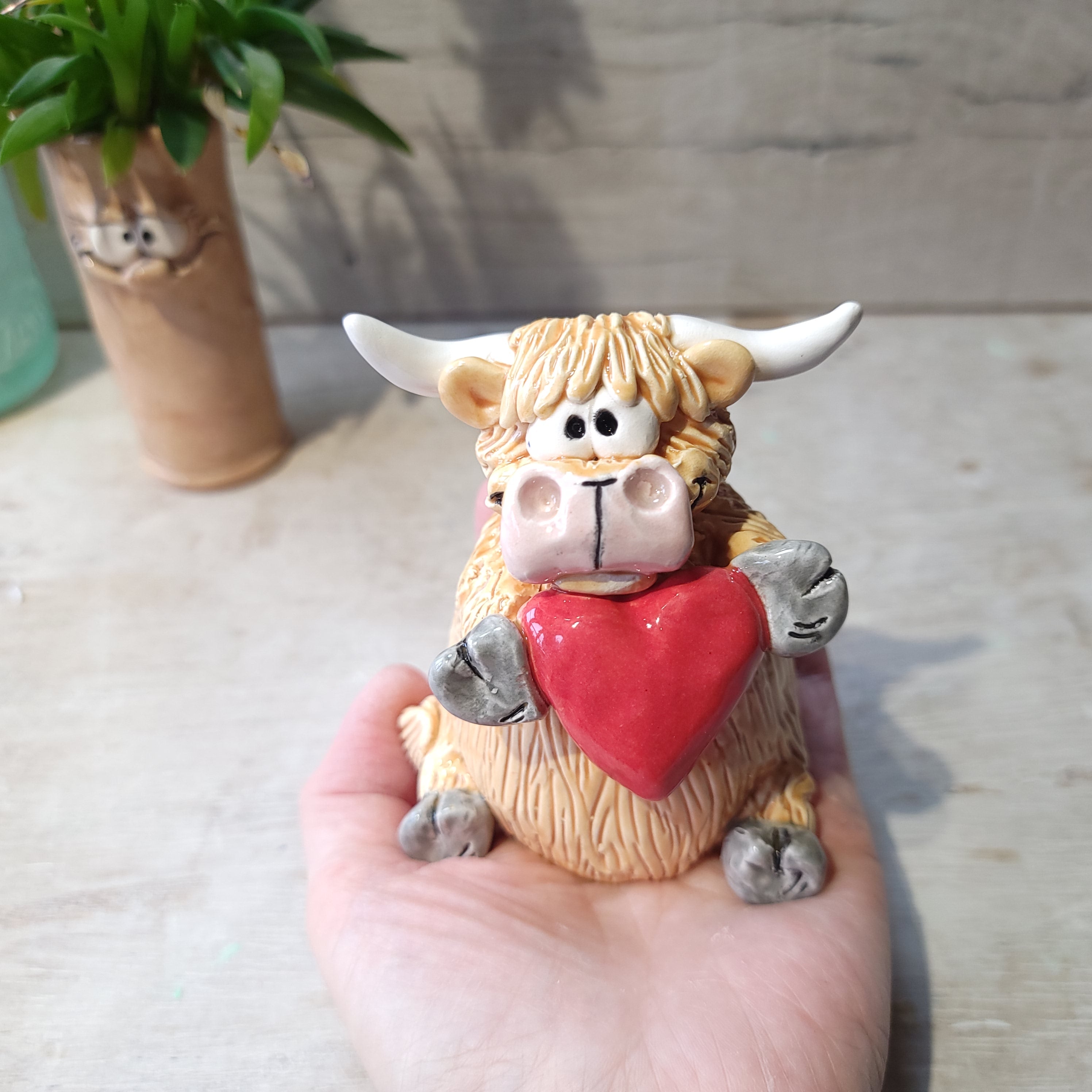 Highland cow with heart ❤️
