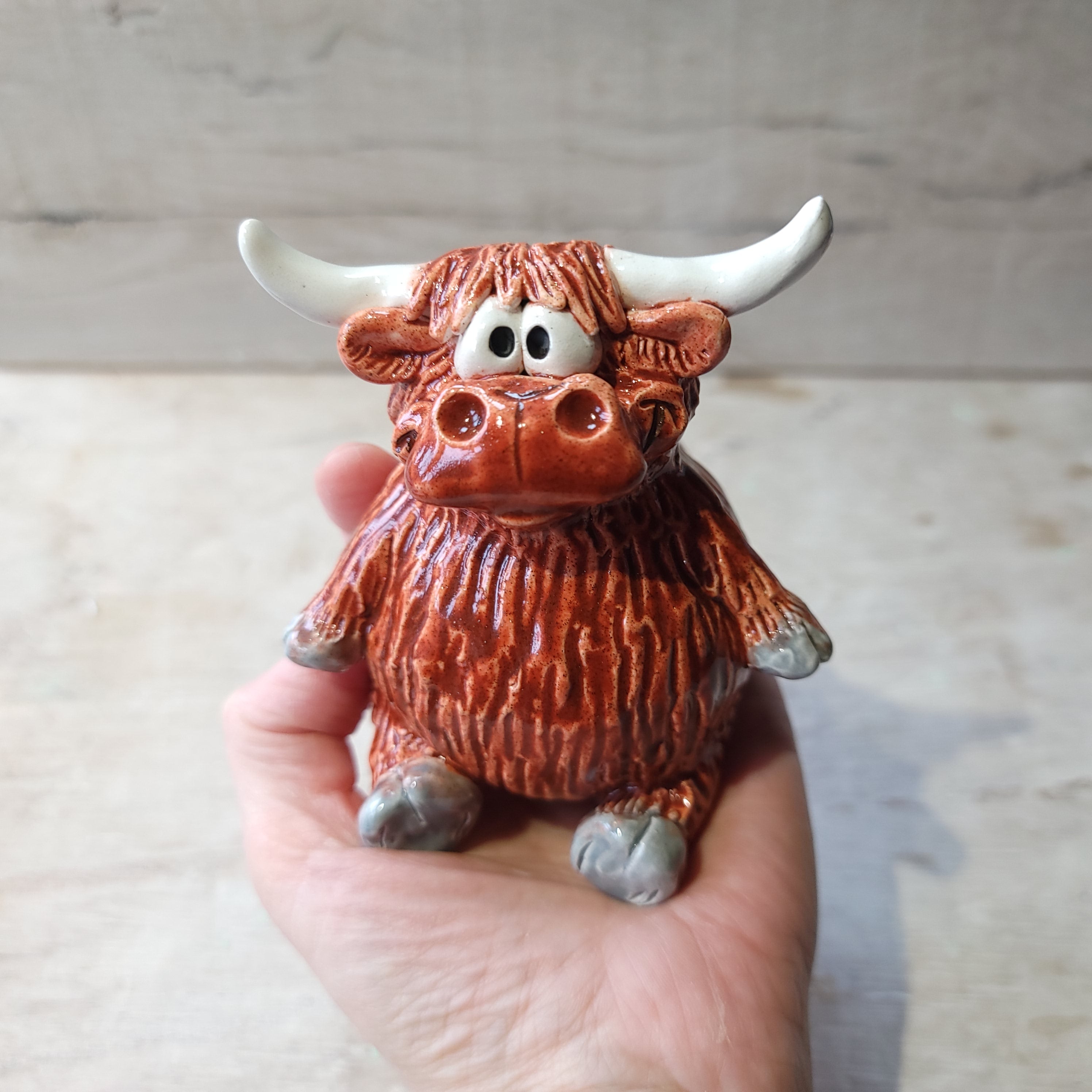 Highland cow Little Bruce