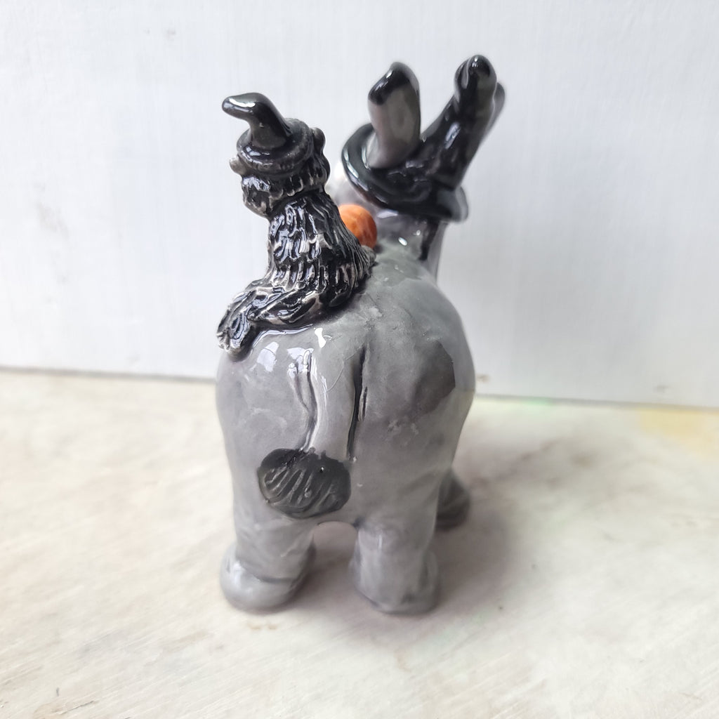 Donkey, cat and pumpkin