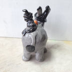Donkey, cat and pumpkin