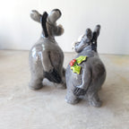 Two donkeys