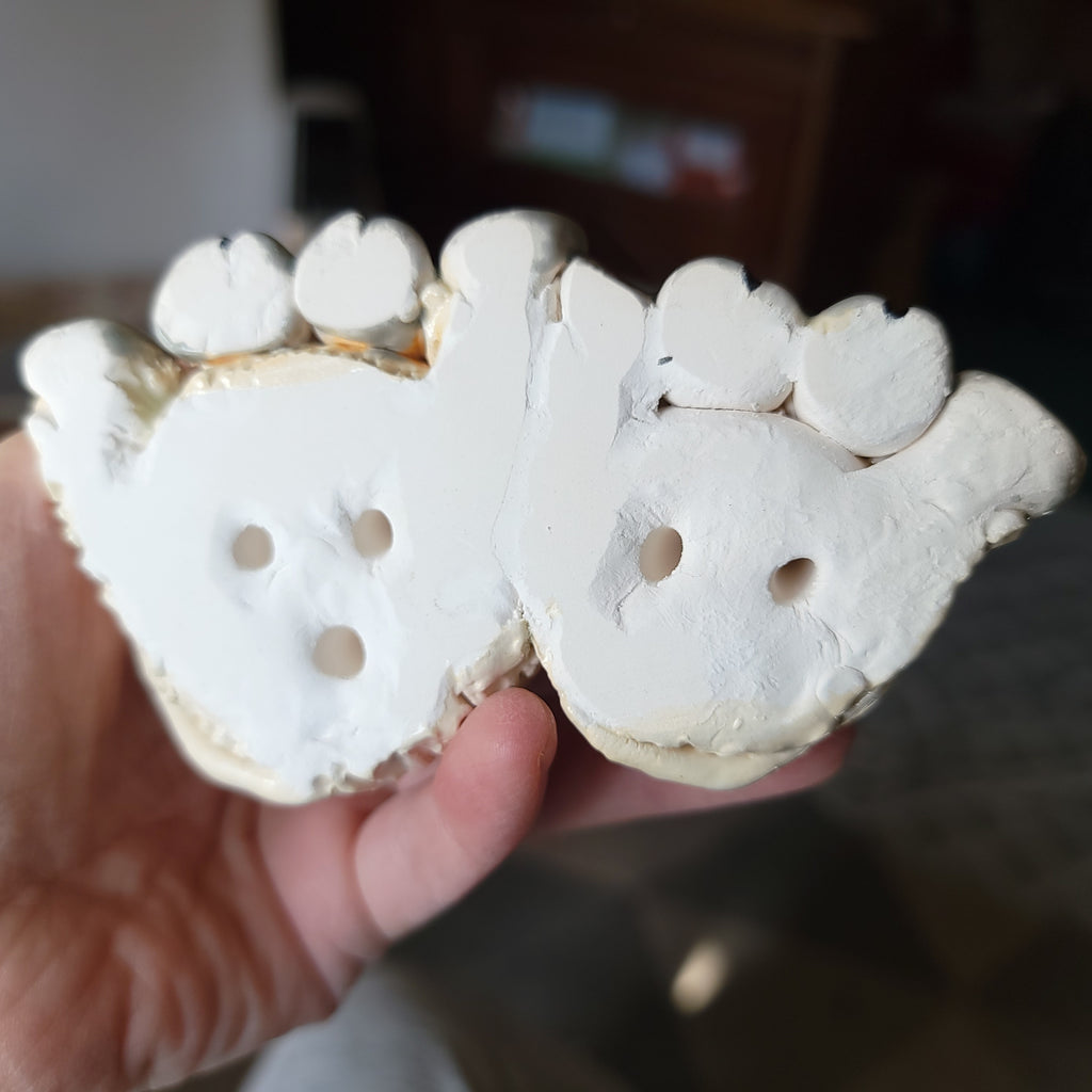 Funny pair of cows