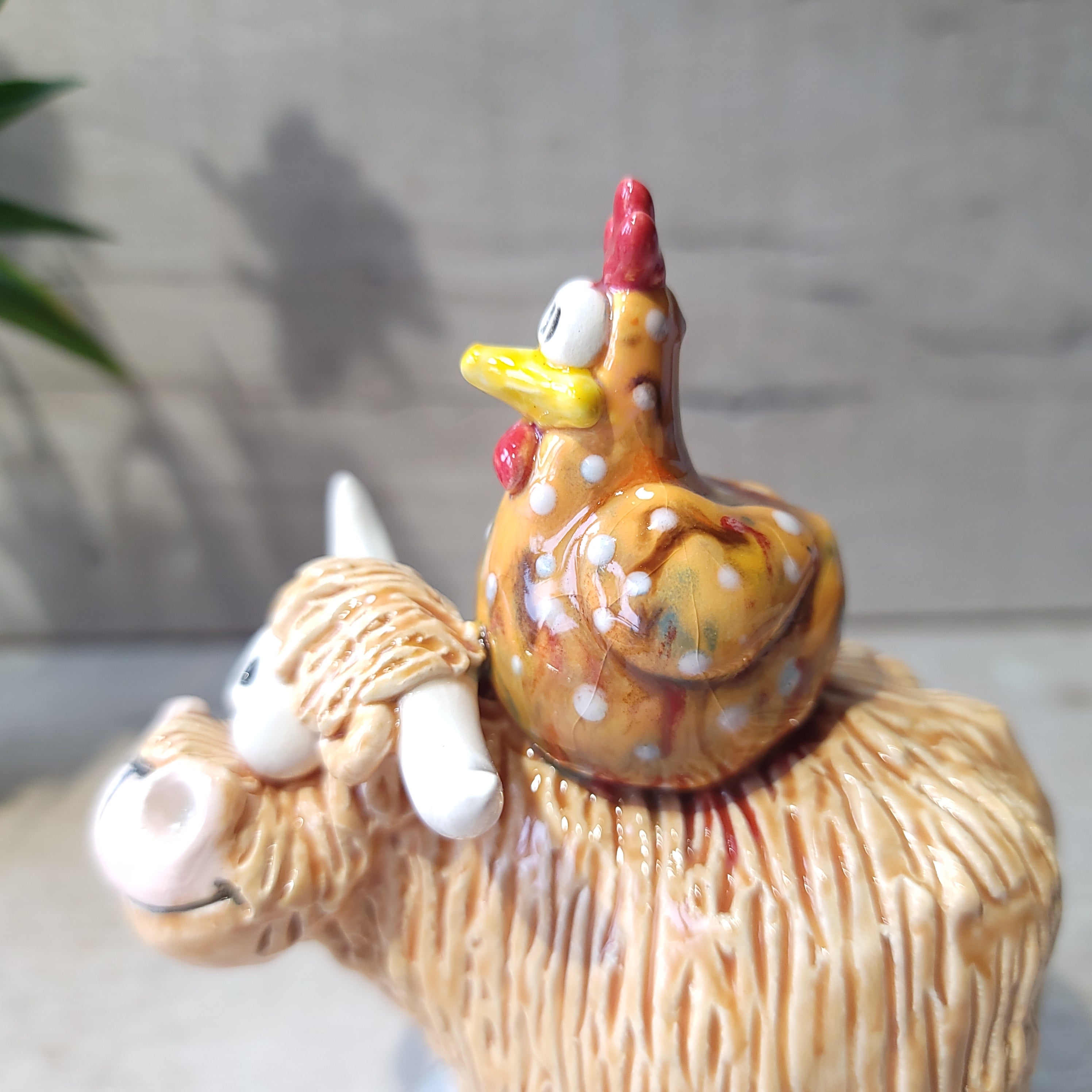 Highland cow and funky orange chicken